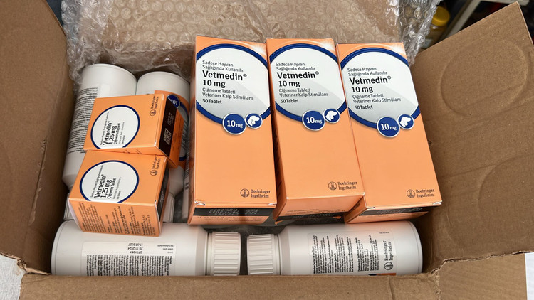 قرص وتمدین اصل (پیموبندان) – 10 میلی گرم